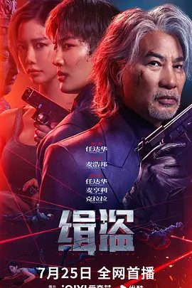 《缉盗》电影海报
