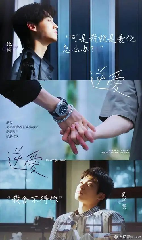 《逆爱》剧集相关图片