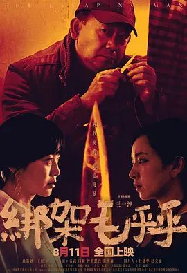 《绑架毛乎乎》电影海报