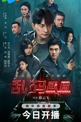 《乱码迷局》剧集图片