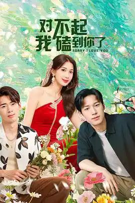 《对不起，我磕到你了》剧照