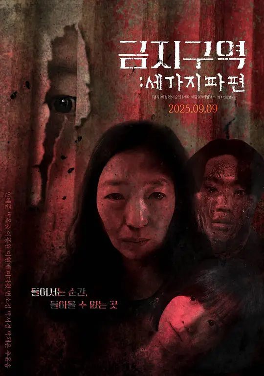 韩国恐怖电影《禁区:三个碎片》海报