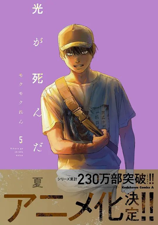 《光逝去的夏天》动画海报